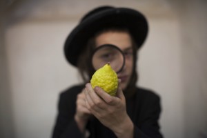 Etrog